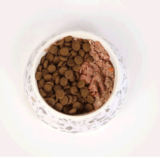 Pet Guide Unleashing the Benefits of Raw Feeding for Your Furry Friends